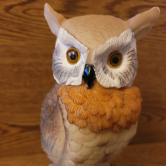 Ruby's Collection Owl Resin Sculpture - Picture 5 of 6
